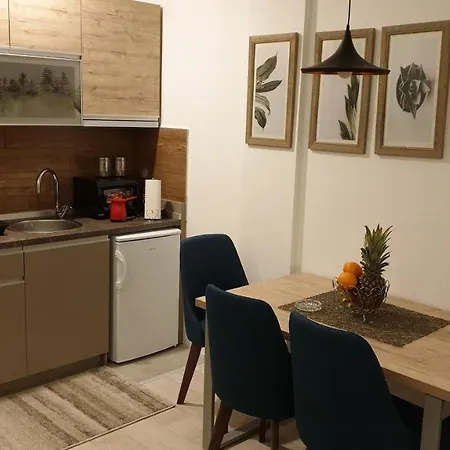 Milmari Vujic P23 And P26 * Kopaonik