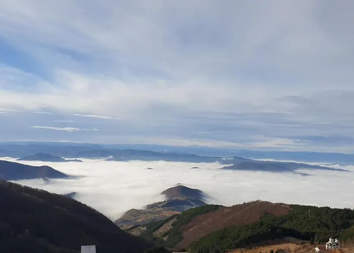 Milmari Vujic P23 And P26 Kopaonik