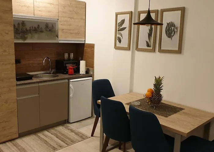 Milmari Vujic P23 And P26 * Kopaonik